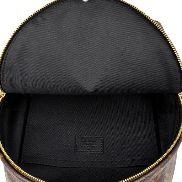 Louis Vuitton Palm Springs PM Rucksack Monogram Backpack - Picture 11 of 12